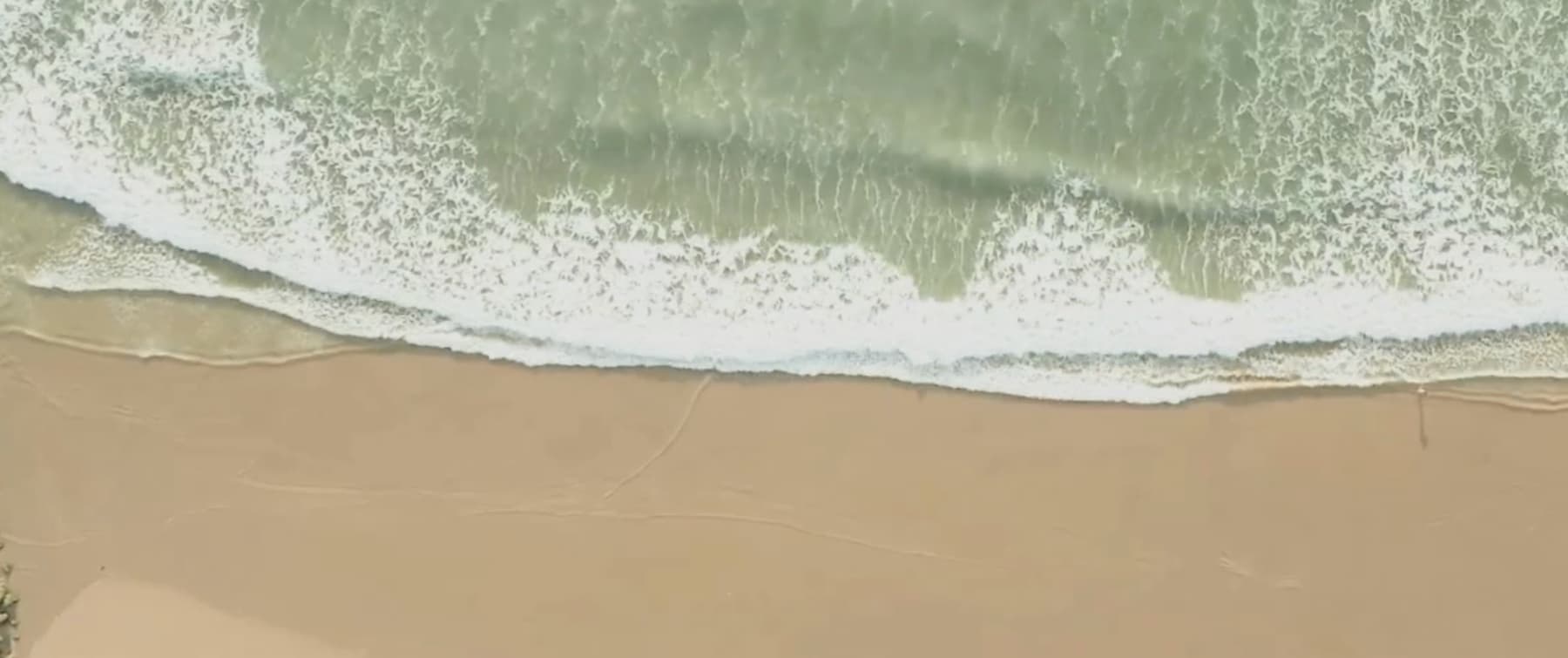 Waves crashing on the Long Branch shoreline