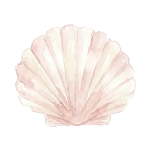 Watercolor illustration of a pink seashell